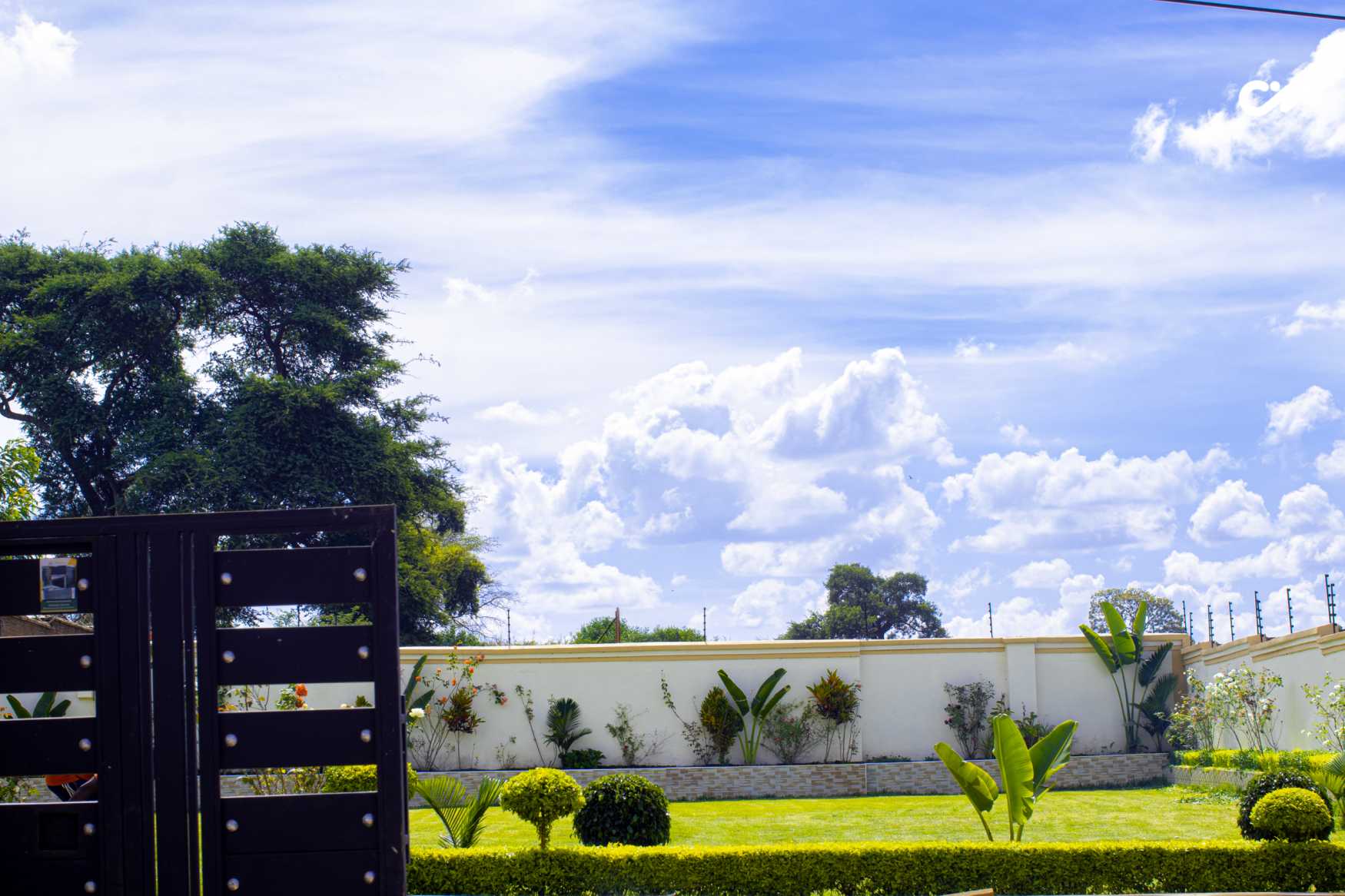Greenery Scene
